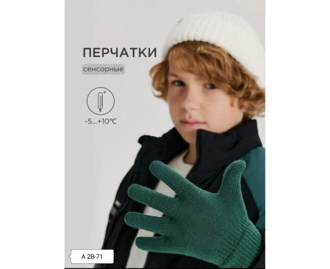 https://catalog-sadovod.ru/images/thumbnails/1565/1280/detailed/4935/68_6mjq-i6