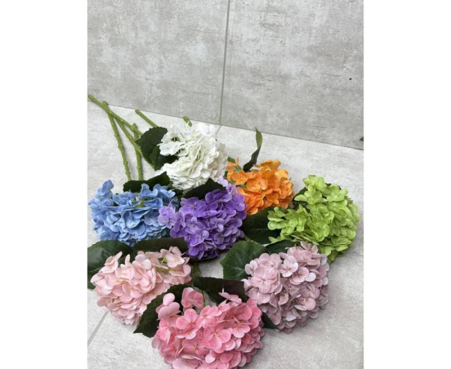 https://catalog-sadovod.ru/images/thumbnails/1565/1280/detailed/4927/66_t
