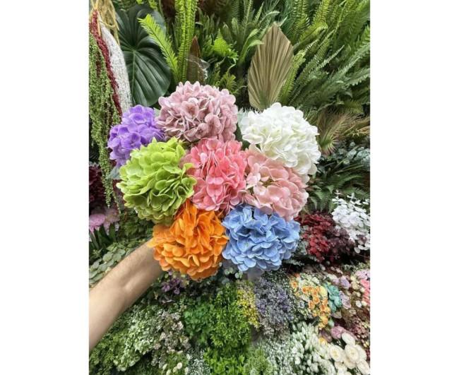 https://catalog-sadovod.ru/images/thumbnails/1565/1280/detailed/4927/76_t352-om