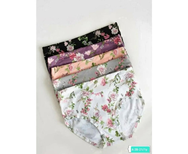 https://catalog-sadovod.ru/images/thumbnails/1034/846/detailed/4938/106_byuo-eh