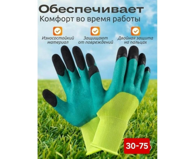 https://catalog-sadovod.ru/images/thumbnails/1043/853/detailed/4954/20_fffff