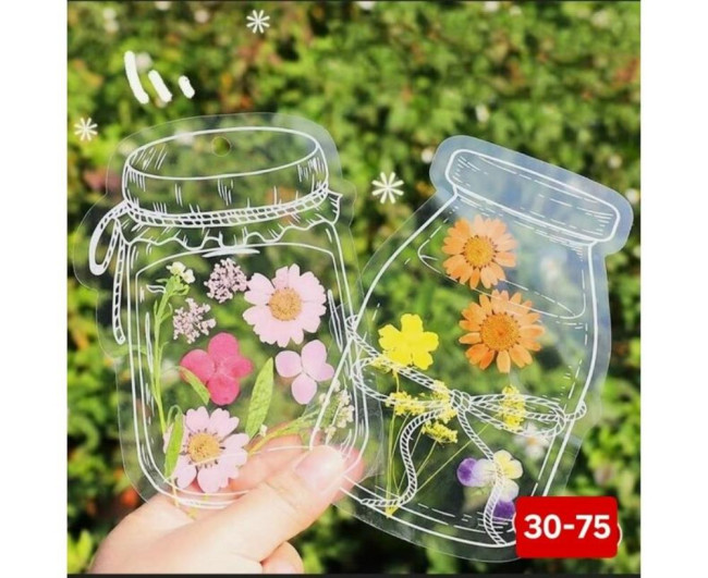https://catalog-sadovod.ru/images/thumbnails/790/646/detailed/4933/56_qauc-du