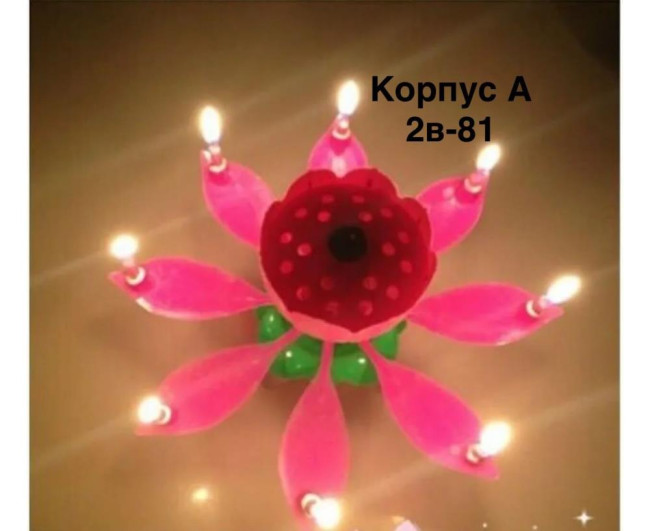 https://catalog-sadovod.ru/images/thumbnails/1355/1108/detailed/4940/37_y5b4-8o