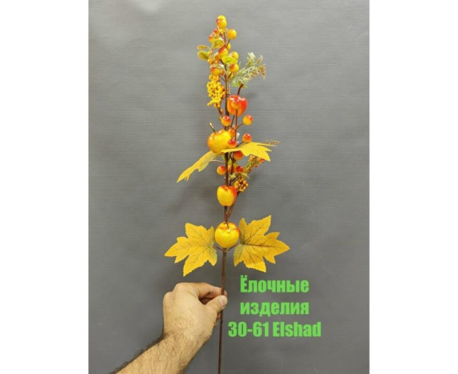 https://catalog-sadovod.ru/images/thumbnails/880/720/detailed/4951/60_v