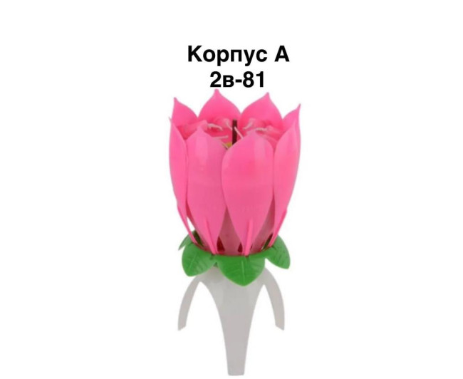 https://catalog-sadovod.ru/images/thumbnails/1830/1497/detailed/4940/38_yyup-f6