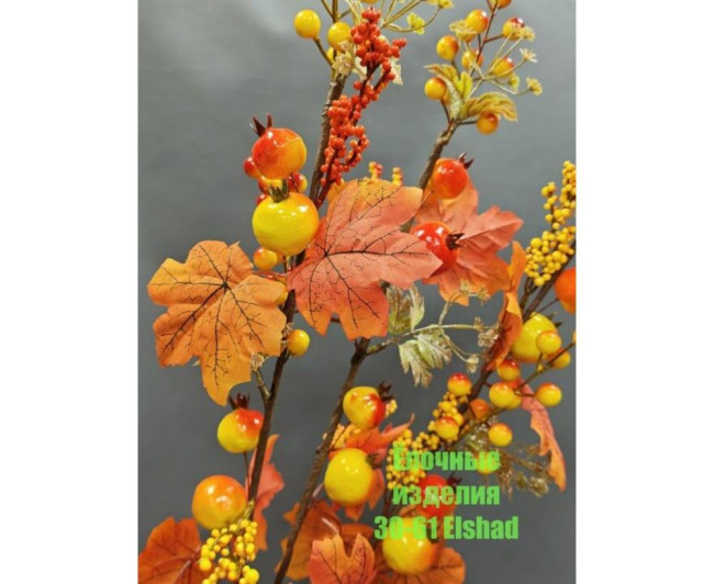 https://catalog-sadovod.ru/images/thumbnails/880/720/detailed/4951/61_2t05-sg