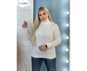 Водолазка женская