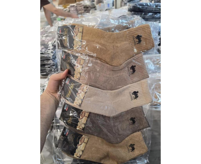 https://catalog-sadovod.ru/images/thumbnails/1443/1180/detailed/4955/37_fiin-q6