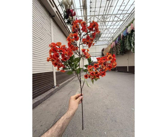 https://catalog-sadovod.ru/images/thumbnails/1565/1280/detailed/4927/58_1f5v-6z